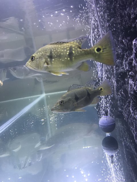 10F51EEE-0581-4855-BDE9-907101B36EE5.jpeg
