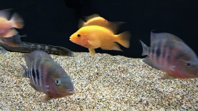 IMG_20191217_073801100.jpg