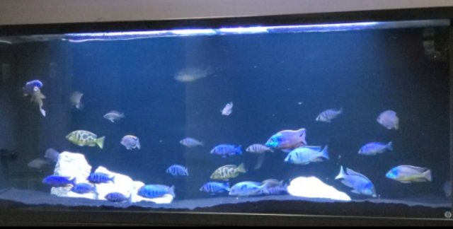 20200105202751.jpg 20200105202751.jpg