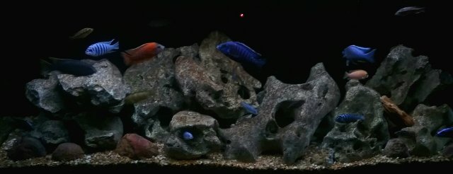 20200106_062942.jpg 20200106_062942.jpg