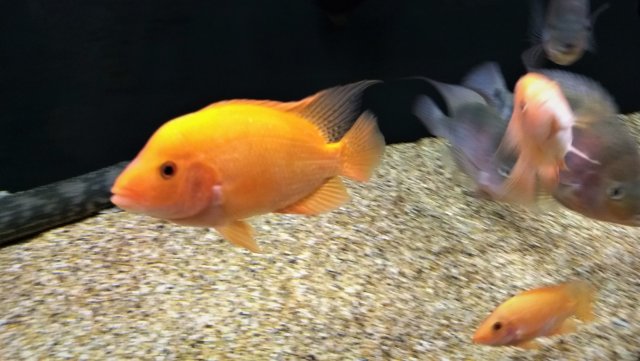 IMG_20200107_070704385_BURST001.jpg