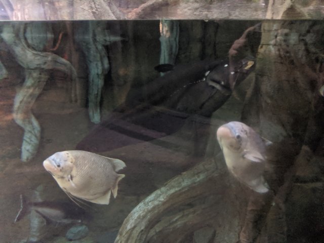 IMG_20200108_113629.jpg