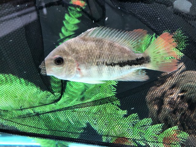 0BE3CA94-82ED-49D3-AD0D-BAE0B0D75D63.jpeg 0BE3CA94-82ED-49D3-AD0D-BAE0B0D75D63.jpeg