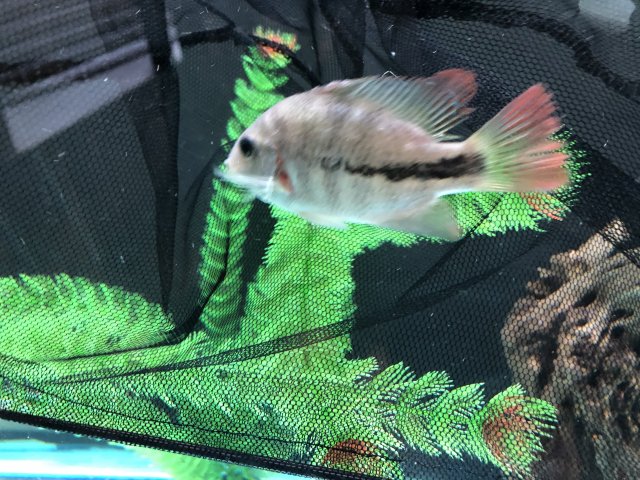 D349C7D1-0253-4633-A78F-35F9D1AEAC59.jpeg D349C7D1-0253-4633-A78F-35F9D1AEAC59.jpeg