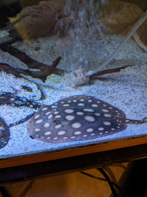 IMG_20200111_205053.jpg IMG_20200111_205053.jpg