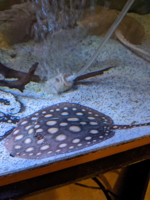 IMG_20200111_205059.jpg IMG_20200111_205059.jpg