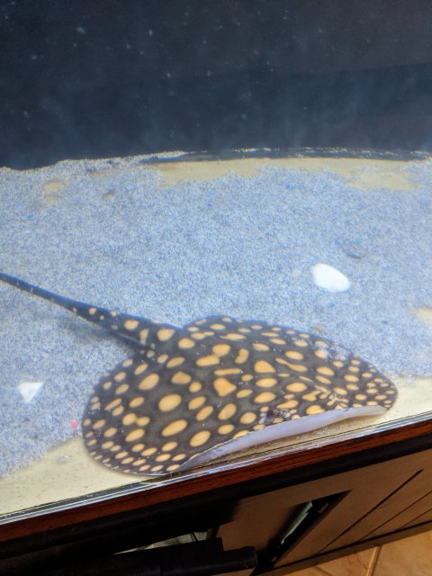 IMG_20200111_205938.jpg IMG_20200111_205938.jpg