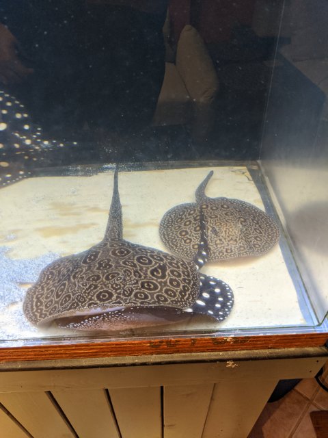 IMG_20200111_202738.jpg IMG_20200111_202738.jpg