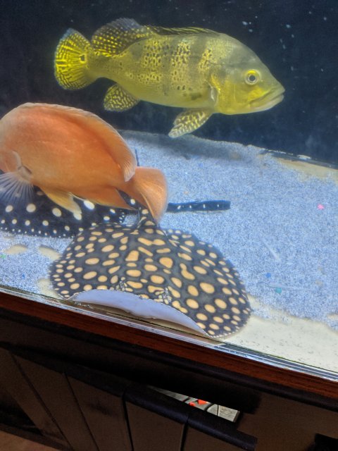 MVIMG_20200111_212355.jpg MVIMG_20200111_212355.jpg