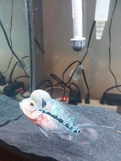 20200112_095835.jpg 20200112_095835.jpg