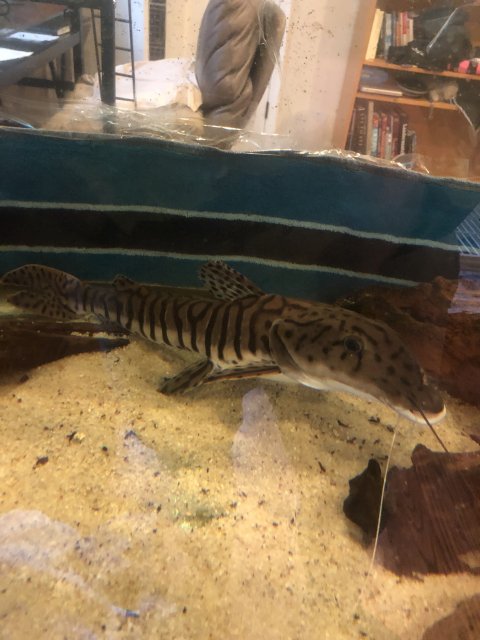 IMG_9570 2.JPG IMG_9570 2.JPG