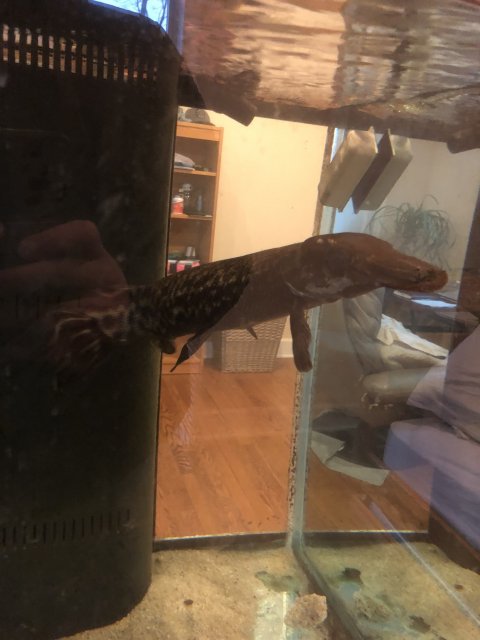 IMG_2825.JPG IMG_2825.JPG