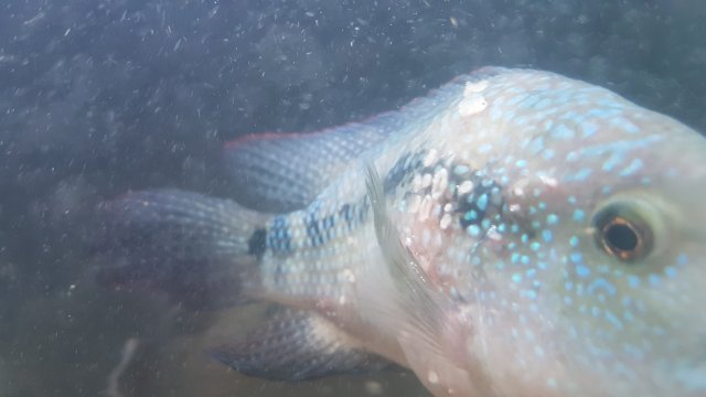 20200115_172347.jpg