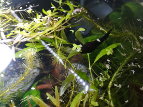 1579213112157.png 1579213112157.png