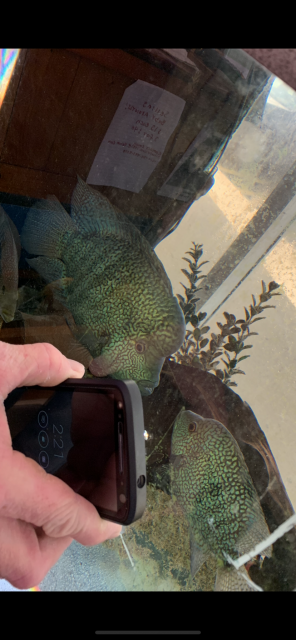 432F0ED4-FF5E-4707-AC04-37E2E047C24F.png