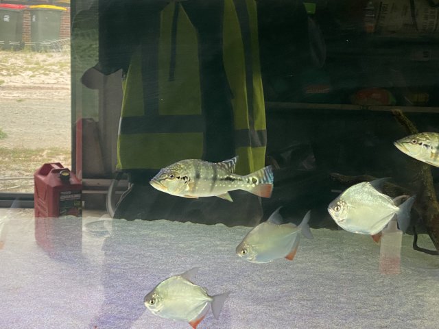 88BAD515-1A54-4660-B82E-6581524675FE.jpeg