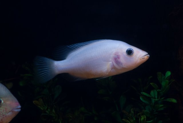 DSC_0179.jpg