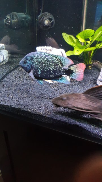 20200125_173846.jpg 20200125_173846.jpg