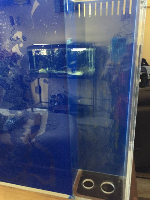 5C5DAFAE-4704-4EB9-8D4F-C8612052F0F3.jpeg