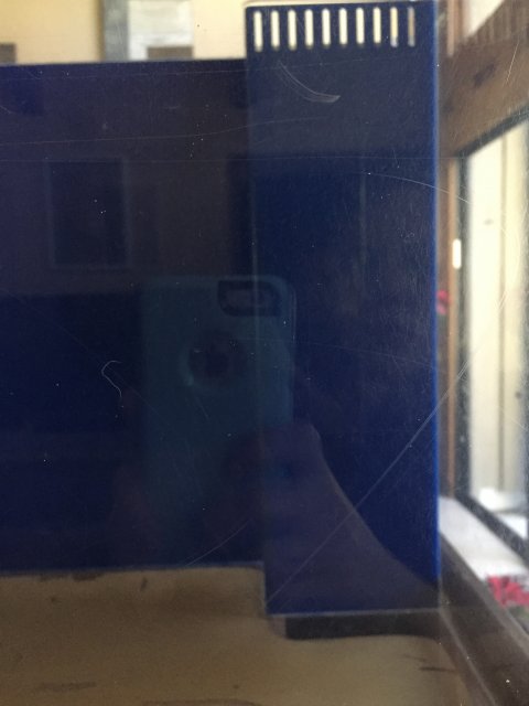 C05D9C84-2444-4905-A250-A4EBD704E0B6.jpeg