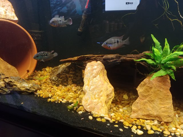 20200123_201505.jpg 20200123_201505.jpg