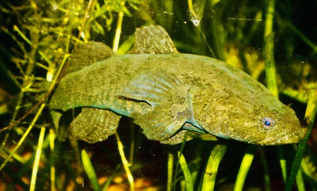 B70A1A1D-4965-4281-9868-163C5764ADCC_1_201_a.jpeg B70A1A1D-4965-4281-9868-163C5764ADCC_1_201_a.jpeg