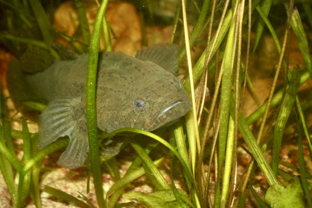 B0E69DB7-7F08-4404-8B49-885B22EF57ED_1_201_a.jpeg B0E69DB7-7F08-4404-8B49-885B22EF57ED_1_201_a.jpeg