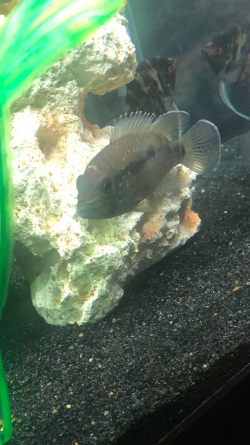 IMG_2311.jpeg IMG_2311.jpeg