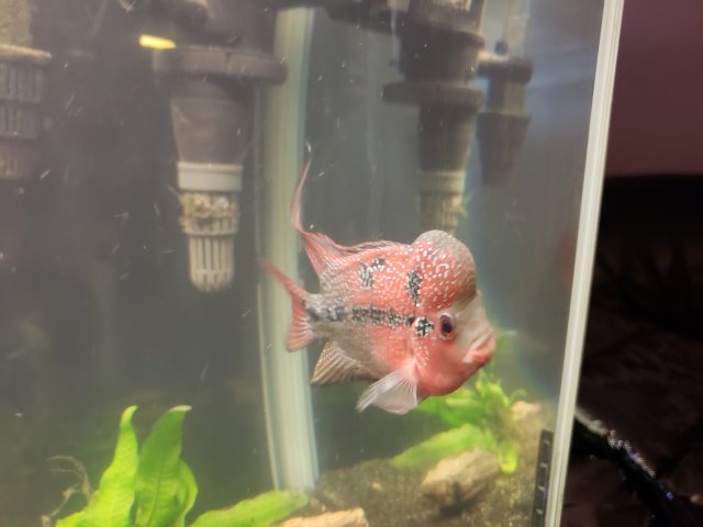 20200119_183826.jpg 20200119_183826.jpg