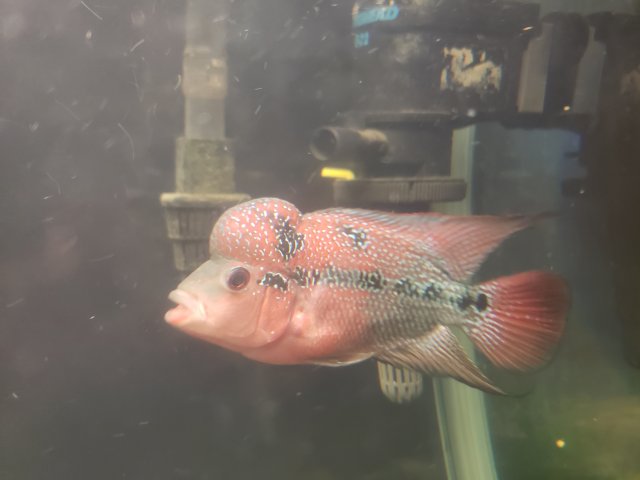 20200119_183819.jpg 20200119_183819.jpg