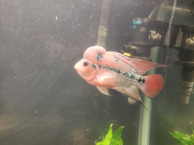 20200119_183809.jpg 20200119_183809.jpg