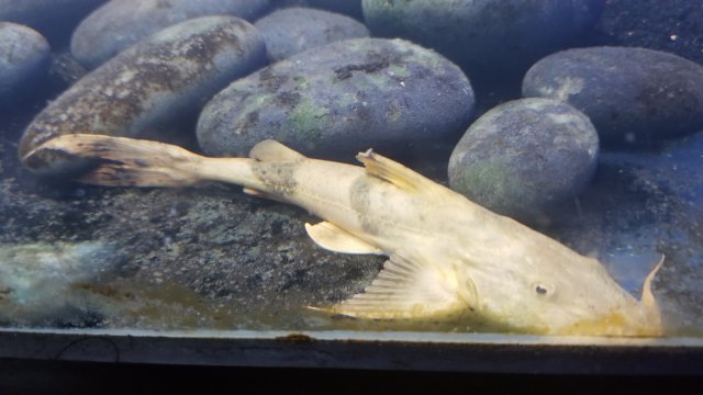 20181115_184019.jpg 20181115_184019.jpg