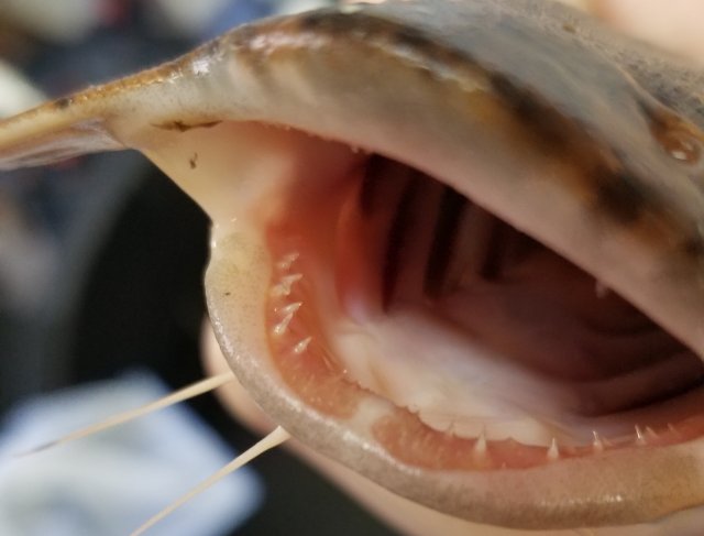 20200126_131512.jpg 20200126_131512.jpg