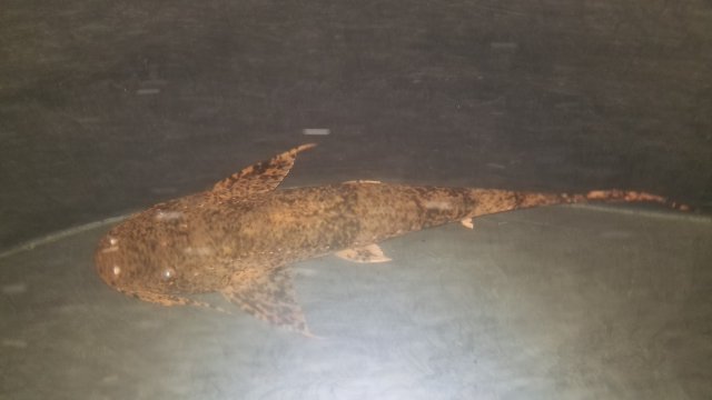 20200113_174516.jpg 20200113_174516.jpg