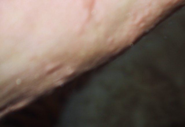 993558B0-D176-4EE2-BA17-BCAEA5E094D6_1_201_a.jpeg