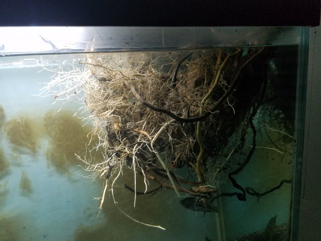 20200126_173218.jpg 20200126_173218.jpg