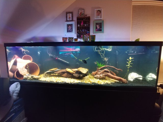 20200105_194423.jpg 20200105_194423.jpg