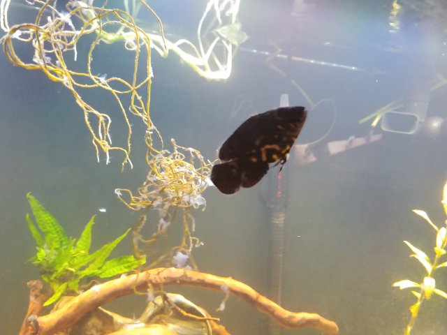 20200105_194412.jpg 20200105_194412.jpg