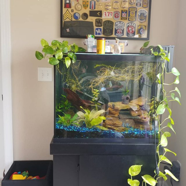 IMG_20191210_154457_691.jpg IMG_20191210_154457_691.jpg