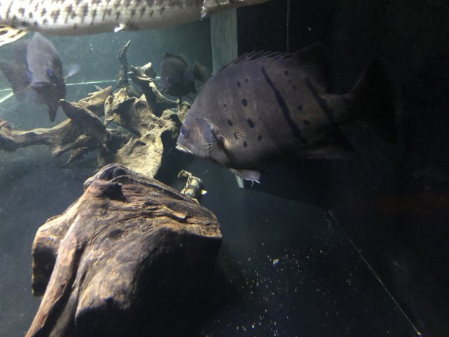 37D3D365-DE05-4A57-8ACA-BCF0347E908F.jpeg