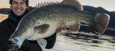 Screen Shot 2020-01-24 at 6.38.43 PM.png