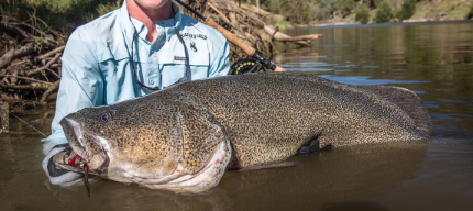 Screen Shot 2020-01-24 at 6.38.57 PM.png