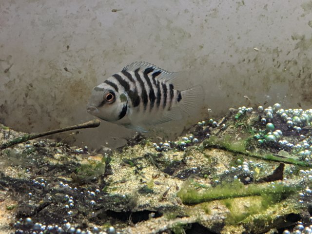 MVIMG_20200201_003432.jpg