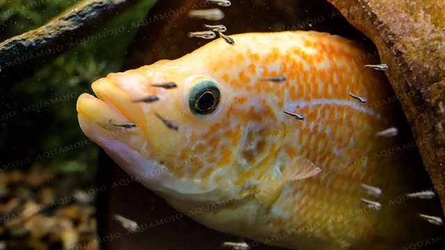 DSC_2650.jpg
