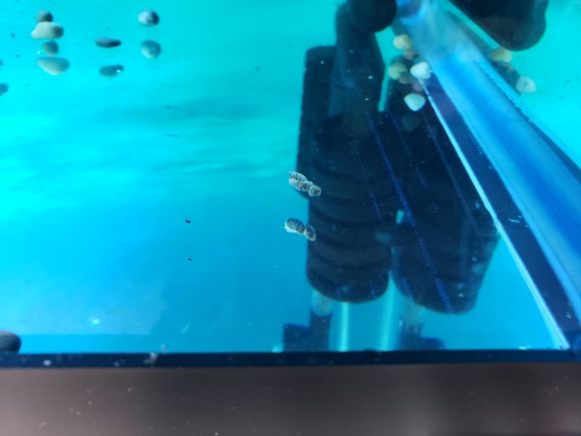 20200201_145933.jpg 20200201_145933.jpg