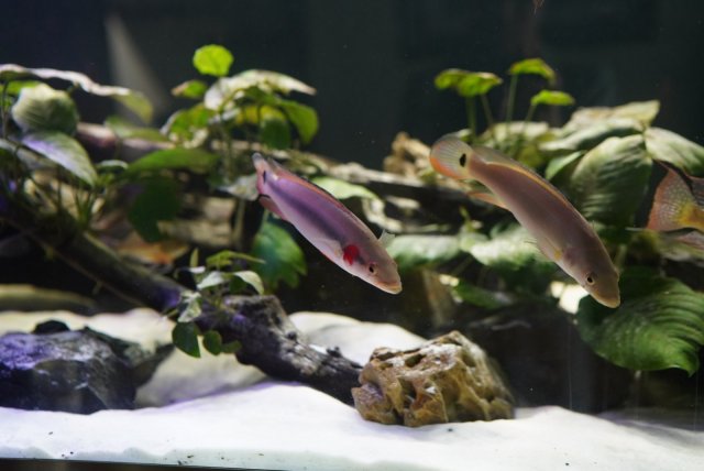 0D5E8519-D511-4A7C-BA06-2C38C2A7041F.jpg 0D5E8519-D511-4A7C-BA06-2C38C2A7041F.jpg