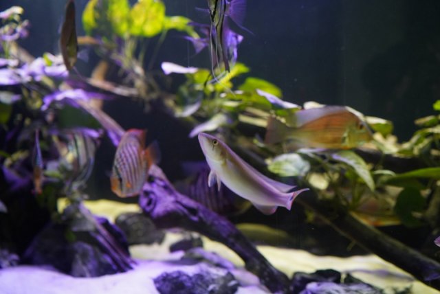 44CDA62D-5C77-4E67-89FF-F2AF9E4FB881.jpg 44CDA62D-5C77-4E67-89FF-F2AF9E4FB881.jpg