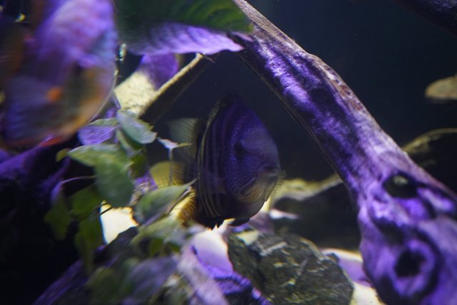 56E3F38D-17EE-4E25-8AF1-562EF7CEC824.jpg 56E3F38D-17EE-4E25-8AF1-562EF7CEC824.jpg