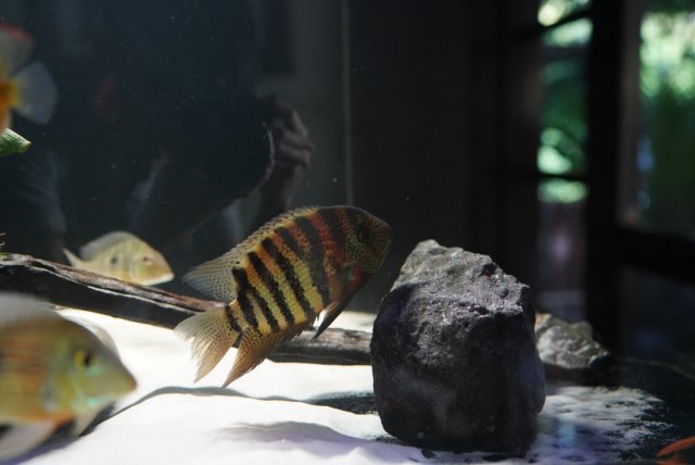 87CEA9EB-09BA-447C-BDB2-2F6C8A3FF98B.jpg 87CEA9EB-09BA-447C-BDB2-2F6C8A3FF98B.jpg