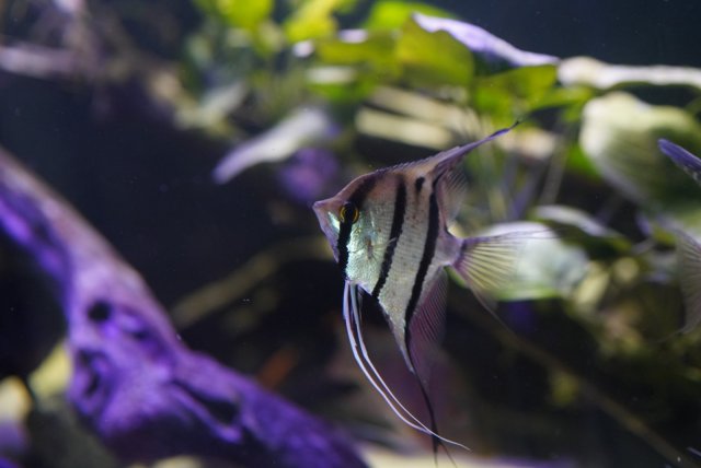 34378595-8690-4201-B0A6-EF02AF9C6C22.jpg 34378595-8690-4201-B0A6-EF02AF9C6C22.jpg